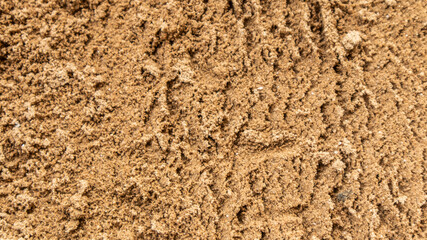 sand.Sand texture. Sandy beach for background. Top view
