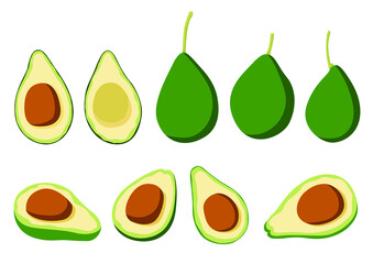 avocado fruit and half isolated on white background illustration vector 