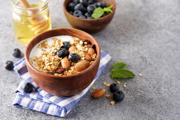Bowl of Greek yogurt, granola and blueberries. Healthy breakfast close-up view