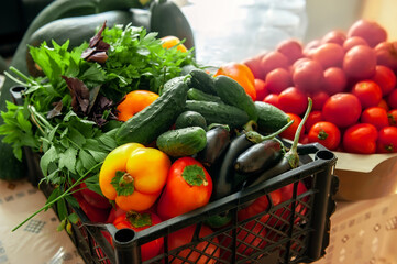 vegetables in the box are intended for fermentation. Eggplant, peppers, tomatoes and cucumbers are ready for processing. Close up