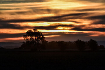 sunset in the forest