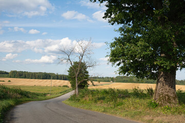 asphalt road on countriside landscape.