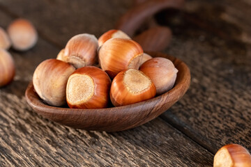 Hazelnuts on a spoon on a table