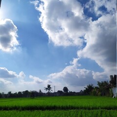 landscape with clouds