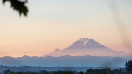 Fototapeta premium Mt Rainier sunrise with hot air balloons