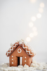 Mini gingerbread house and snow chistmas decoration