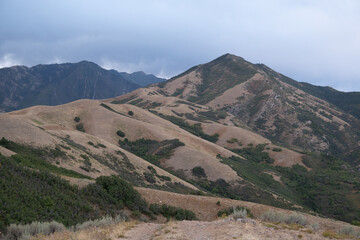 Landscape of hills covered in greenery under a cloudy sky in the Tomahawk Natural Area, the US