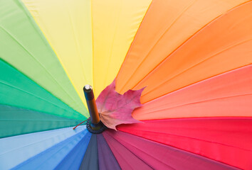 Rainbow coloured umbrella and autumn maple leaf. Selective focus.