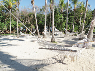 hammock on the beach