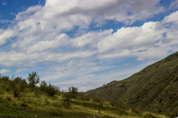 Fototapeta na wymiar Beautiful Summer scenery. Mountains, hills, green grass, trees and cloudy blue sky. Kazakhstan.