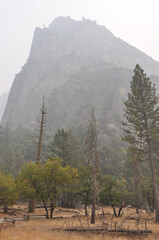 Very hazy and smokey view of the mountains and trees in Yosemite Valley, during a bad wildfire season