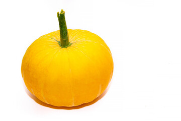 Yellow pumpkin protein isolate . Seasonal autumn vegetable. Halloween. Article about pumpkins and their preparation. Ingredient.