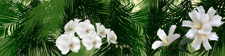 white orchid flower branch on palm tree green leaves background