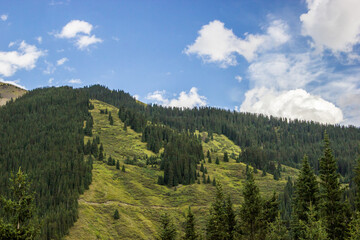 Beautiful Central Asian landscape. Hills, mountains, trees, green grass and the blue cloudy sky
