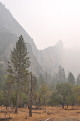 Very hazy and smokey view of the mountains and trees in Yosemite Valley, during a bad wildfire season