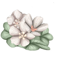 white forest flowers decor 300 dpi digital art