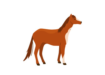 Brown horse stand vector illustration. Isolated on white background. Mare equine in simple cartoon flat style