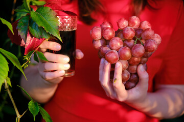 Woman with bunch of grapes and glass of juice in vineyard