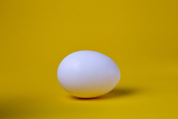 .chicken eggs on yellow background