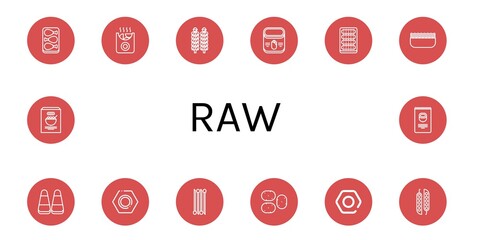 raw simple icons set