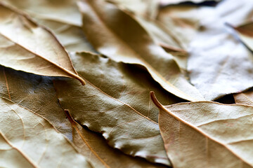 Lots of bay leaf background image