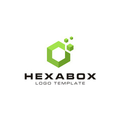 Simple Digital Data Hexagon with 3D Box Cube modern futuristic logo design