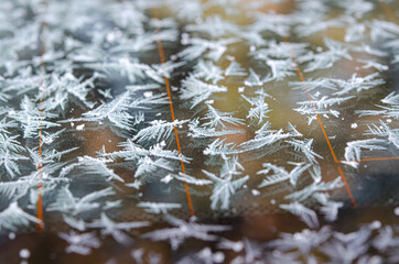 Frost on Windshield