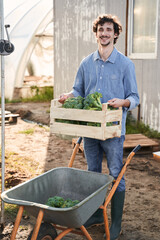 Happy young agronomist gathering vegetables on farm