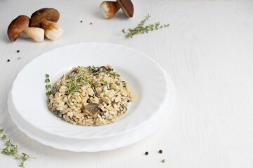 Creamy risotto or Italian arborio rice dish cooked with broth, containing mushrooms, thyme, white wine and parmesan cheese served in plate on white wooden background at kitchen. Image with copy space