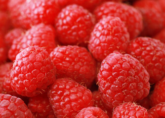 Fresh and sweet raspberries background, close up picture