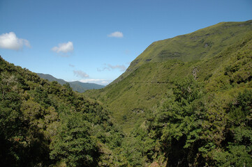 Fototapeta na wymiar The beautiful nature of Madeira Island
