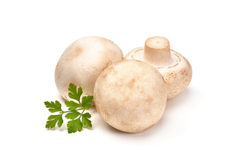 Champignon mushrooms, isolated on white background