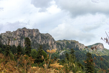 Panorama of mountains and subalpine meadows covered with vegetation in the summer - places to visit and walk for tourists and outdoor enthusiasts.