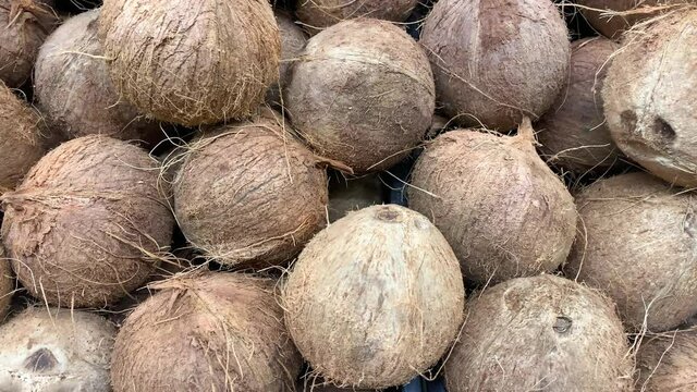 heap of ripe coconut at the market