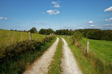 Fototapeta na wymiar road in the countryside