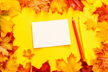 Naklejka na ściany i meble Yellow-red autumn maple leaves and a blank white card for your text, colored pencils on a yellow background, top view, flat lay. Autumn bright background frame 
