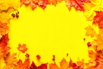 Autumn bright background frame. Yellow-red autumn maple leaves on a yellow background, top view, copy space, flat lay. 