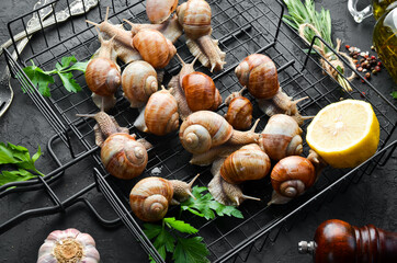 French food. Snails on a black stone background with parsley and lemon. Top view. Free space for your text.