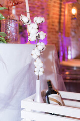 cotton in a white interior