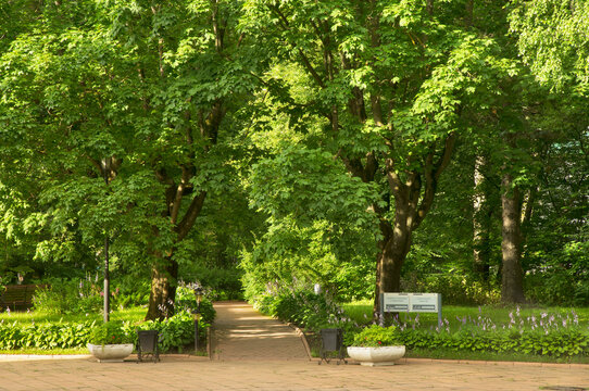 Park of Pyotr Tchaikovsky state house-museum in Klin. Russia