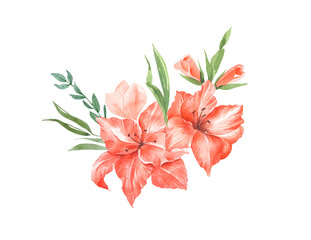 bouquet with orange gladioli flowers, watercolor illustration on white background