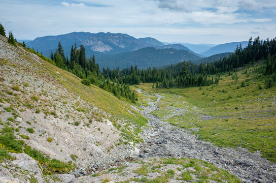 View of alpine meadow and Cascade Range, Goat Rocks Wilderness, Washington