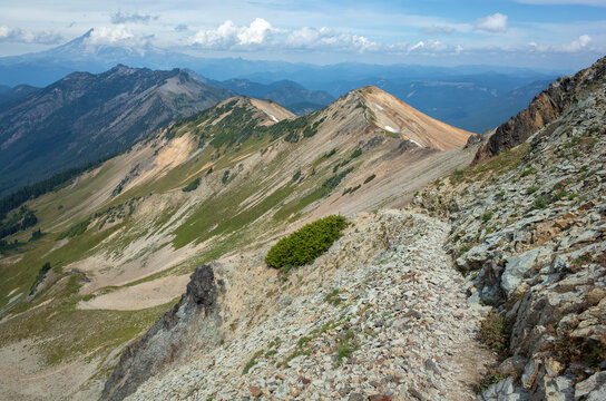 Hiking trail through remote mountain range, Goat Rocks Wilderness, Washington