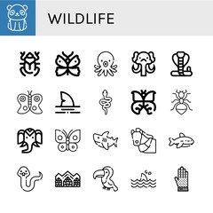 wildlife simple icons set