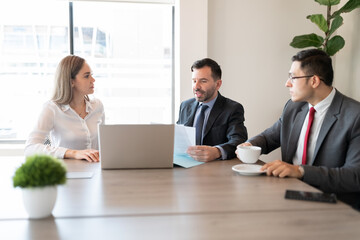 Group of business professionals having a meeting