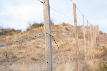 Fototapeta premium Cercos de campo
