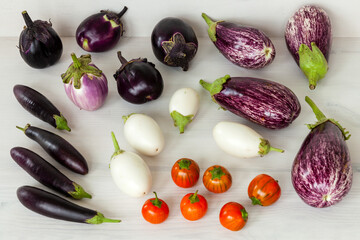 Variety of eggplants. Different sizes, shapes and colors aubergine vegetable cultivars top view.