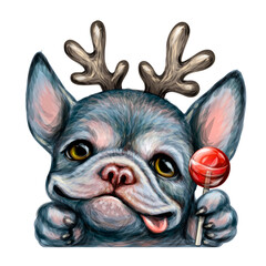 A bulldog puppy. wall sticker. Color realistic portrait of a happy bulldog with horns holding a Lollipop in its paw. Watercolor style. Separate layer.