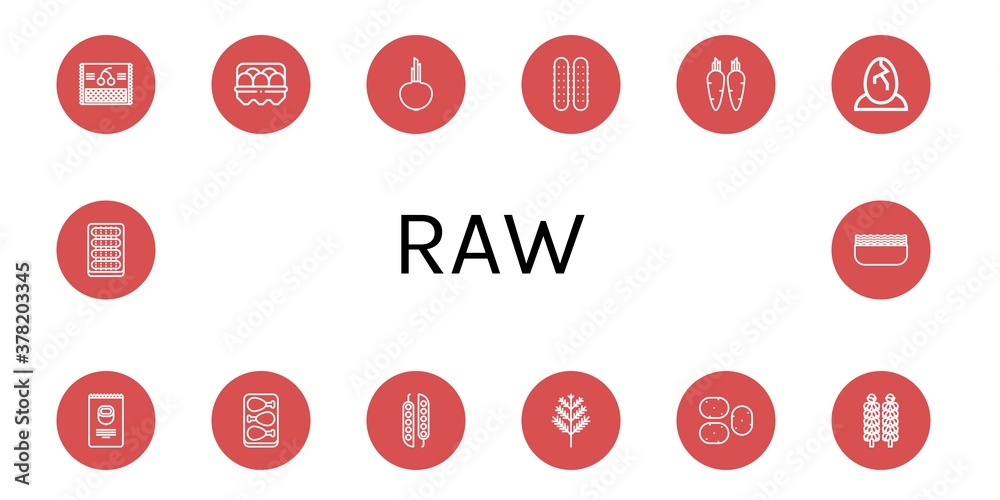 Poster raw simple icons set