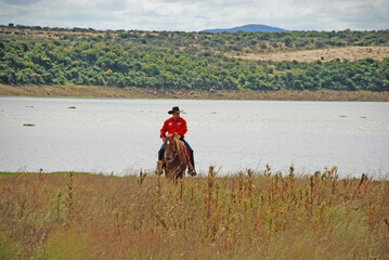 person riding a horse in the field